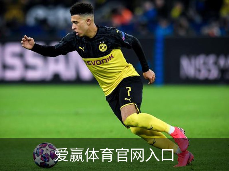 关于爱赢体育官网入口